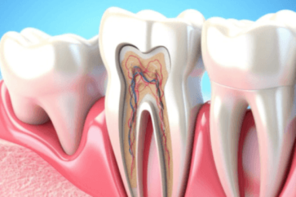 Image of Gums and Teeth